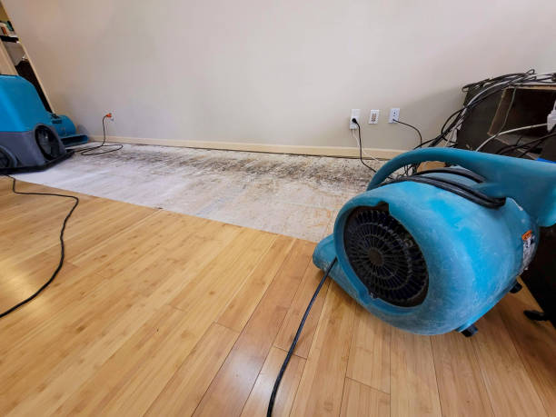 Professional Water Extraction technician working in Milton, MA
